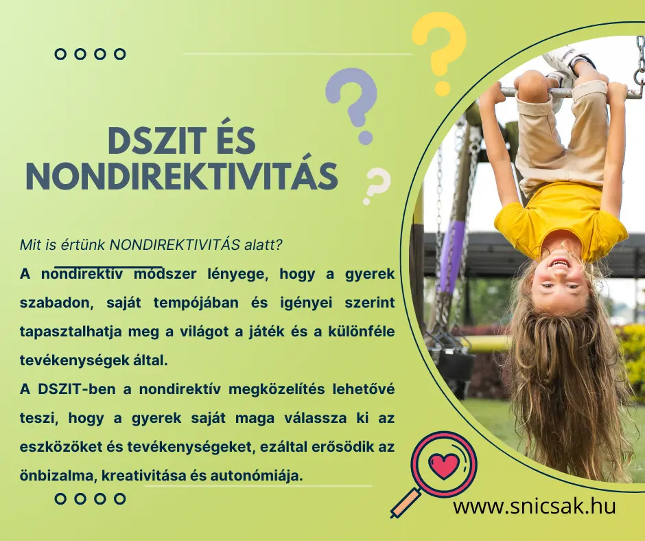 DSZIT és nondirektivitás 1 Snicsak