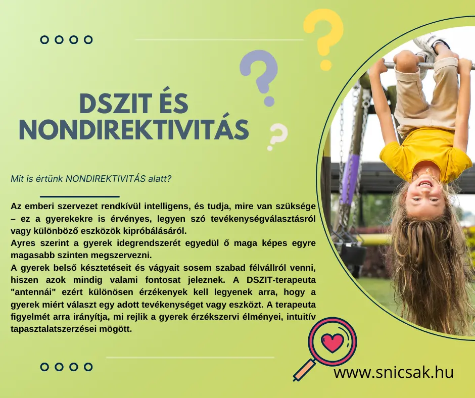 DSZIT és nondirektivitás 2 Snicsak